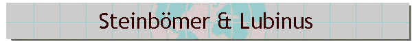 Steinb�mer & Lubinus